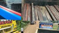 Wow,Supir Truk Pembawa Kayu Ulin Milik Cukong Ilegal Loging, Diduga Membawa Nama Oknum Aparat Polri