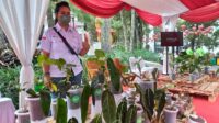 Digagas Flona, Hari Kedua, Pameran Tanaman Hias Ramai Dikunjungi Masyarakat