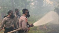 Sinergitas TNI Polri dalam Tangani Kebakaran Hutan dan Lahan (Karhutlah) di Kubu Raya