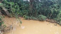 Diduga PT.CMI Membuang Limbah ke Sungai Kediukserta Sungai Pawan hingga Tercemar.