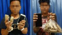 Polisi Tangkap 2 Pengedar Ganja dan Berhasil Amankan 35 Paket Daun Ganja Kering