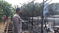 Kandang Ayam Di Jalan Wonodadi II Sungai raya Terbakar, Dua Ribu Ekor Ayam Terpanggang