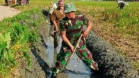 Demi Ketahanan Pangan Seorang Babinsa Nyebur Di Sawah