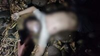 Mayat Tanpa Identitas Ditemukan Tergeletak di pinggir Sungai Jeneberang, Makassar