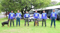 Pomal Lantamal VI Laksanakan Pelatihan Anjing Pelacak K-9 Tingkat Pemula