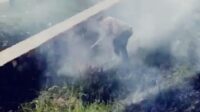 Kapolsek Telukjambe Timur Respon Cepat Laporan Kebakaran Lahan di Pinggir Tol KM 49 Jakarta Cikampek