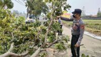 Kabid Humas Polda Jabar : Polisi, Petugas PU Dan Warga Masyarakat Evakuasi Pohon Tumbang