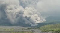 Gunungapi Semeru Muntahkan APG Sejauh Tujuh Kilometer