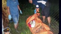 Polisi Melakukan Olah TKP di Lokasi Penemuan Mayat di Desa Karangampel