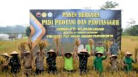 Sinergi Pentahelix Korem Wijayakusuma dan Faperta Unsoed Panen Perdana Padi Protani dan Protangguh Dukung Hanpangan Nasional