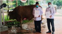 Presiden Joko Widodo Berikan Sapi Kurban ke Tiap Provinsi pada Idhul Adha 1444 H