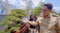 Bupati Barru Meresmikan Pameran dan Kontes Bonsai yang Digelar Perkumpulan Penggemar Bonsai Indonesia (PBBI) Cab. Barru di Alun-alun Kota Barru