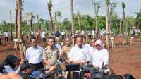 Masuk Musim Hujan, Presiden Jokowi Ajak Masyarakat Tanam Pohon Atasi Perubahan Iklim Dan Polusi Udara
