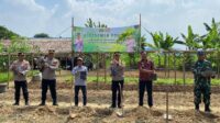 Sambut Hari Bhayangkara ke-78, Polres Lebak Gelar Bakti Sosial dan Penanaman Pohon bersama Gapoktan Sukabungah