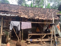 MIRIS..!! Tinggal di sebuah Gubuk Reot, Janda Tua Berharap Bedah Rumah