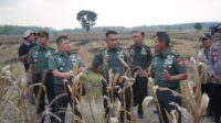 Danrem 071/Wijayakusuma Dampingi Kunker Aster Panglima TNI dalam Serbuan Teritorial di Pemalang