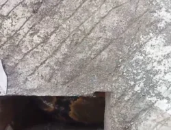 Viral !!! Karyawan Indomaret Temukan Ular Sanca di Selokan Perumahan Villa Kencana Cikarang