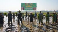Wujudkan Ketahanan Pangan Yang Tangguh, Padi Protani Siap di Tanam di Lahan 2 Ha di Banyumas