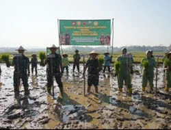 Wujudkan Ketahanan Pangan Yang Tangguh, Padi Protani Siap di Tanam di Lahan 2 Ha di Banyumas