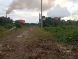 Enam Tahun Cemari Sungai, Pabrik Sawit di Terentang Diduga Buang Limbah Lewat Jalur Bawah Tanah