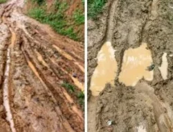 Tragis.!Jalan Desa Bojongsalam, Kec. Rongga Tak Tersentuh Pembangunan , Menunggu Janji PLN Cisokan, hingga Seorang Ibu Melahirkan di Perjalanan