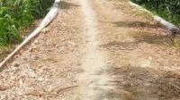 Proyek Pembangunan jalan di Dusun III Lanca Baru Memperlancar Laju ekonomi Warga dan Mempermudah para Petani Mengangkut hasil Panen