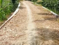 Proyek Pembangunan jalan di Dusun III Lanca Baru Memperlancar Laju ekonomi Warga dan Mempermudah para Petani Mengangkut hasil Panen