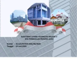 Ketua LAKI DPC Aceh Timur Saiful Anwar Desak Presiden-RI, Terkait Temuan BPK Aceh Timur yang Nilai Rugikan Negara