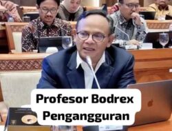 Komaruddin Hidayat Golongan Profesor Bodrex Pengangguran, Makanya Cari Kerja di Dewan Pers