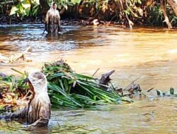 “Dokumen Bocor”: LHI Tanggapi Kelemahan Uji Air Kebocoran Pipa Vale