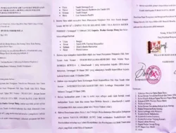 Konflik Agraria Papua: Tanah Adat dan Jejak Mafia Tanah di Sorong