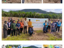 Penanaman Perdana PSR di Mamosalato: Pemerintah dan Petani Bergerak Bersama