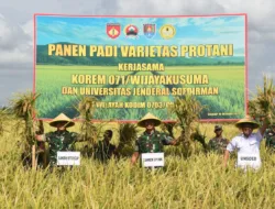 Panen Padi Protani, Korem 071/Wijayakusuma Sinergi dengan Unsoed Purwokerto Dukung Ketahanan Pangan Nasional