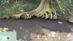 TBS Dibatasi Tapi Sungai Tetap Kotor: Warga Curiga Ada “Main Mata” Pemerintah–DLH dengan PT Palma