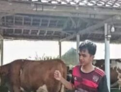 Bandung Barat Genjot Pengembangan Peternakan Sapi Perah di Wilayah Selatan untuk Pemerataan Ekonomi