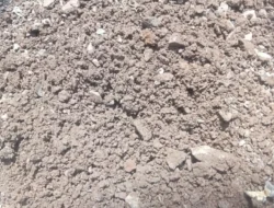 Ormas Kemasyarakatan RMD Lampung Selatan Soroti Kualitas Proyek Pembangunan Rabat Beton di Desa Way Gelam Candipuro.