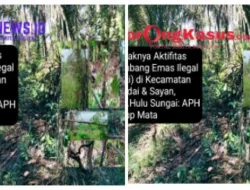 Maraknya Aktivitas Tambang Emas Ilegal (PETI) di Kec.Sandai & Sayan, Hulu Sungai, Diduga Dimodali EO, AT, AN, dan ALG/AY Terkesan Kebal Hukum