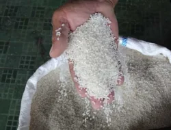 Harga Beras di Daerah Bencana Aceh Tengah Tembus Rp500 Ribu per Sak