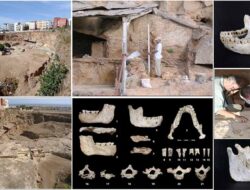 Fosil Pertama dari Periode Evolusi Manusia Ditemukan di Maroko