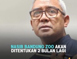 Walikota Bandung: Nasib Bandung Zoo ada 3 Opsi, akan  Ditentukan Dua Bulan lagi