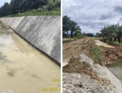 Pekerjaan Irigasi BWSS BP II di Desa Lubuk Gedang Dinilai Asal Jadi, Hambat Pengairan Sawah dan Menyulut Keresahan Petani