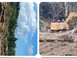 Pak Kapolres, Pak Kapolda: Tangkap Cecep dan Pajin Pemodal PETI dan Penerima UPETI  Otak Pelaku utama Dusun Puaje, Terkesan Kebal Hukum