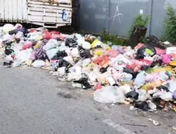 Tumpukan Sampah hingga bau busuk yang menyengat menunggu Penanganan dari Pemerintah terkait