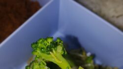 Diduga Sayur Berulat MBG Ibu Menyusui Skandal Memalukan kembali Mencoreng Program Makan Bergizi Gratis (MBG).