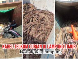 Terbongkarnya Dugaan Pencurian Kabel PT Telkom, Berawal dari Temuan Tim PPWI di Lampung Timur