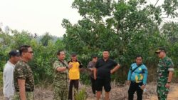 Demplot Satgas Karhutla  TNI, Uji Alternatif Pupuk Organik Ladang di Kayan Hilir