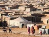 Skandal Penyelewengan Bantuan Kemanusiaan di Kamp Tindouf: Keuangan Polisario Dipertanyakan, Wilson Lalengke Desak Pembubaran Kamp