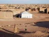Kedok Polisario Terbongkar: Bantuan Kemanusiaan Dirampok, Persisma Desak Pengungsi Dipulangkan ke Sahara Maroko